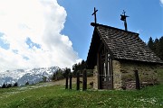 Spettacolo di crocus ai prati della Pigolotta di Valtorta il 26 aprile 2018 - FOTOGALLERY